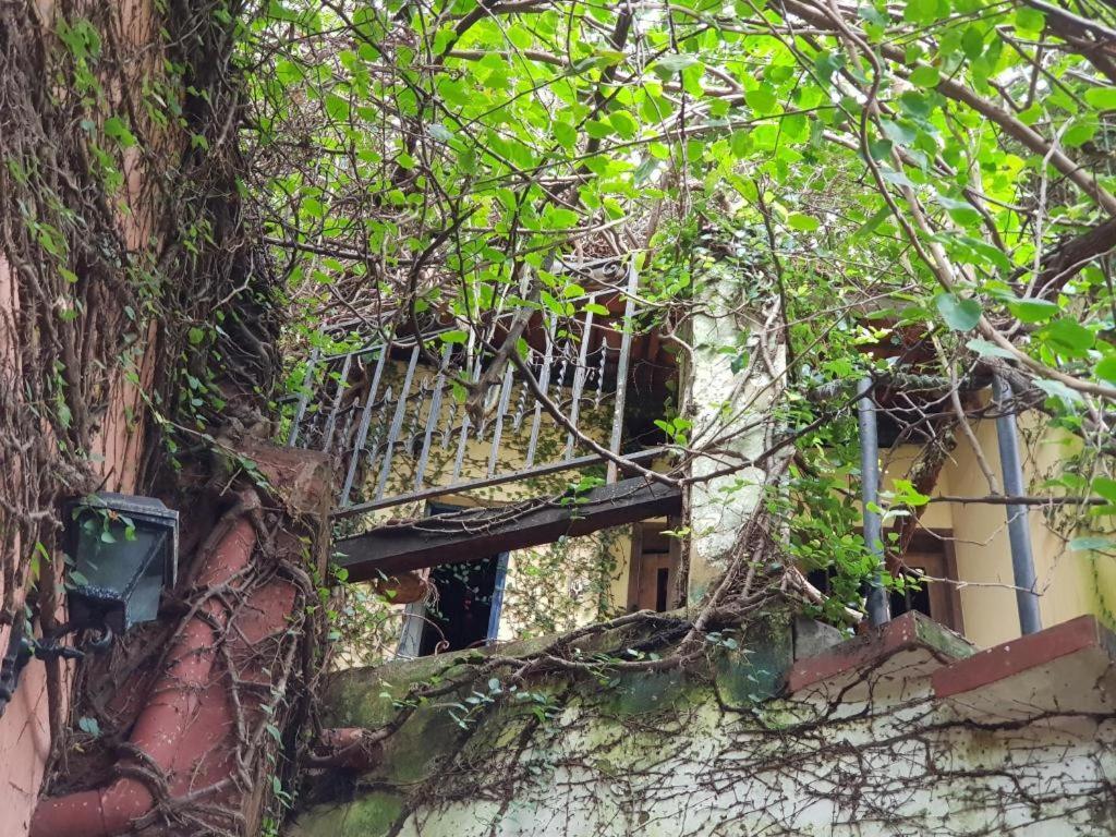Cafe Hostel Kebab Salwador Zewnętrze zdjęcie